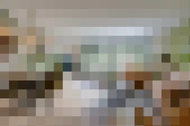 Golden Delicious 9 Duiven thumbnail 15