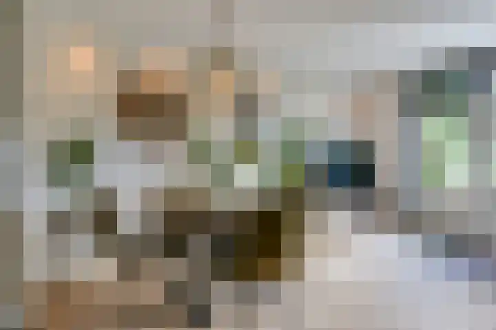 Golden Delicious 9 Duiven thumbnail 17
