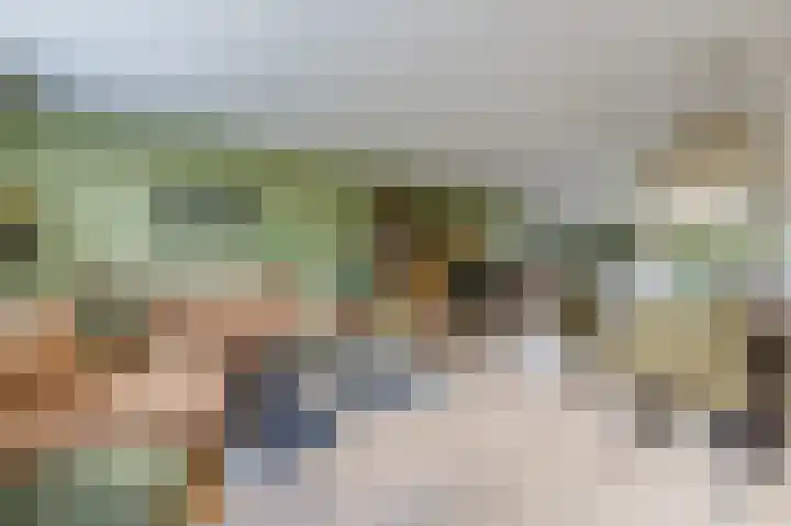 Golden Delicious 9 Duiven thumbnail 19