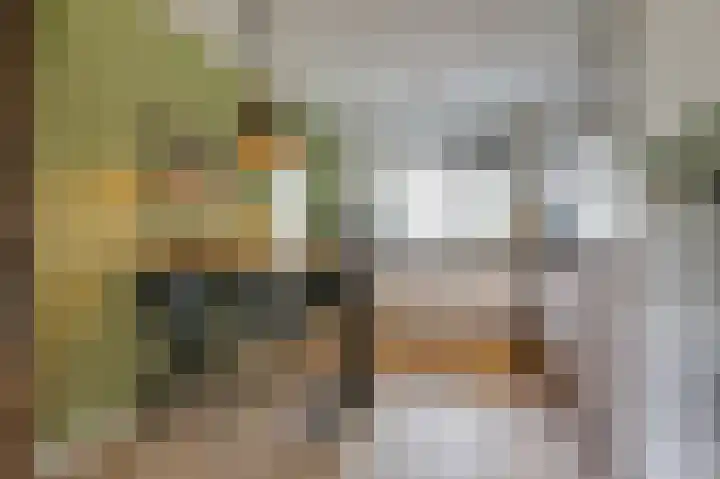 Golden Delicious 9 Duiven thumbnail 21