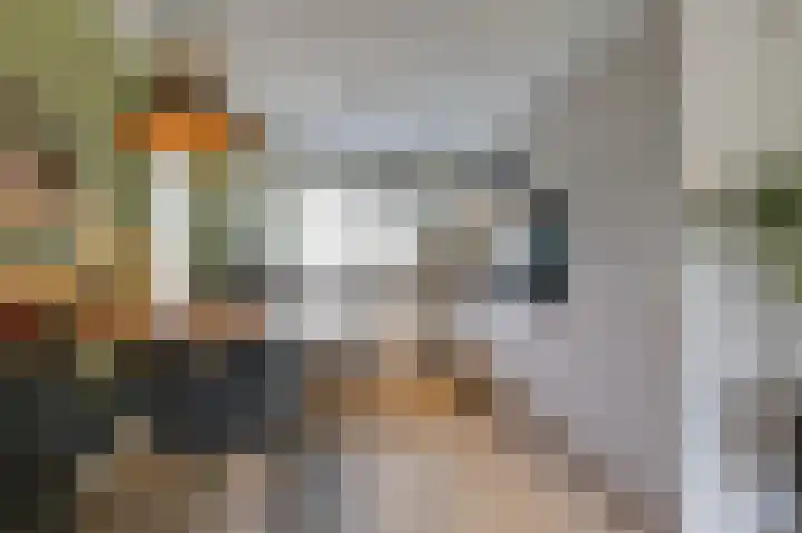 Golden Delicious 9 Duiven thumbnail 22