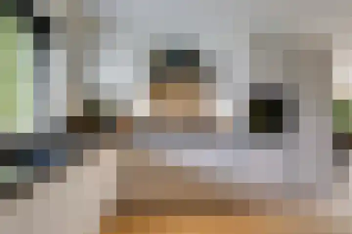 Golden Delicious 9 Duiven thumbnail 24