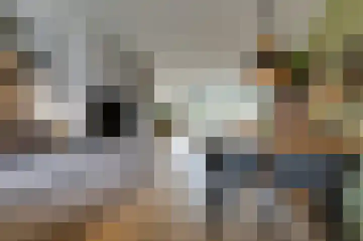 Golden Delicious 9 Duiven thumbnail 25