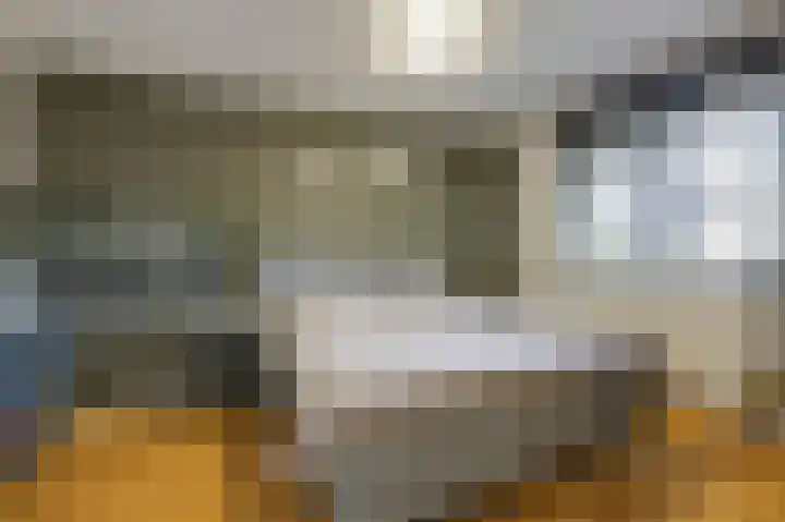 Golden Delicious 9 Duiven thumbnail 27