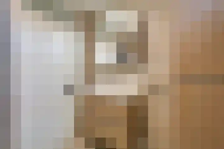 Golden Delicious 9 Duiven thumbnail 36