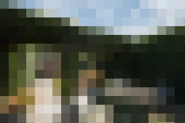 Golden Delicious 9 Duiven thumbnail 48