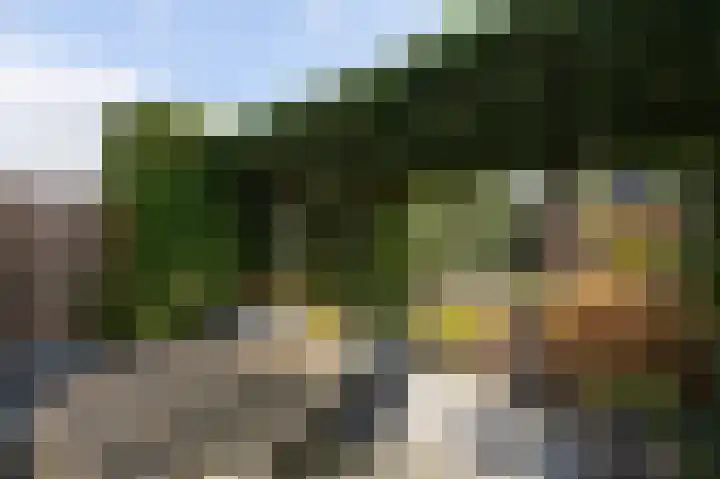 Golden Delicious 9 Duiven thumbnail 49