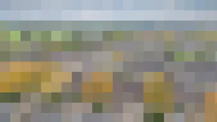 Golden Delicious 9 Duiven thumbnail 5