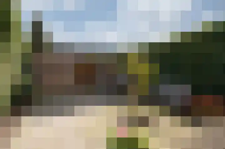 Golden Delicious 9 Duiven thumbnail 52