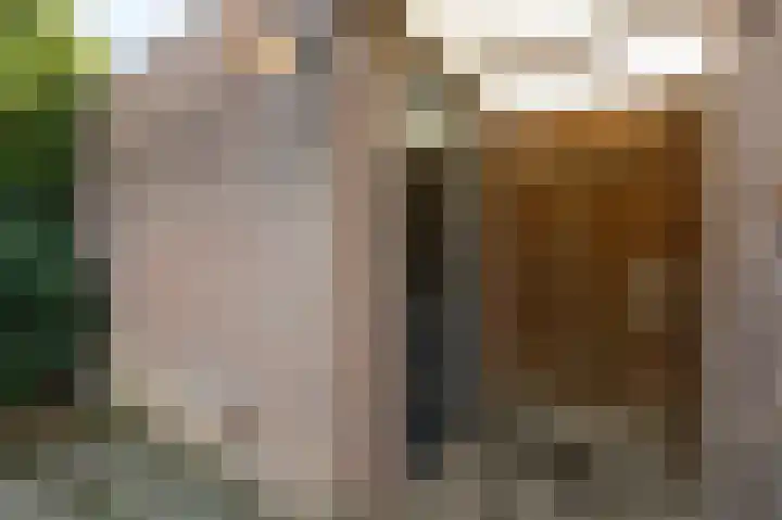 Golden Delicious 9 Duiven thumbnail 53