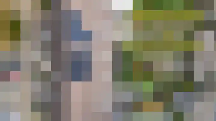Golden Delicious 9 Duiven thumbnail 54