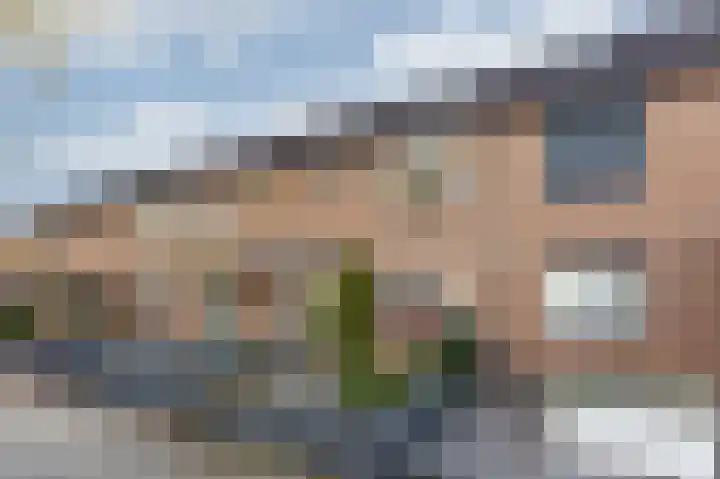 Golden Delicious 9 Duiven thumbnail 55