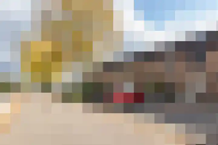 Golden Delicious 9 Duiven thumbnail 59