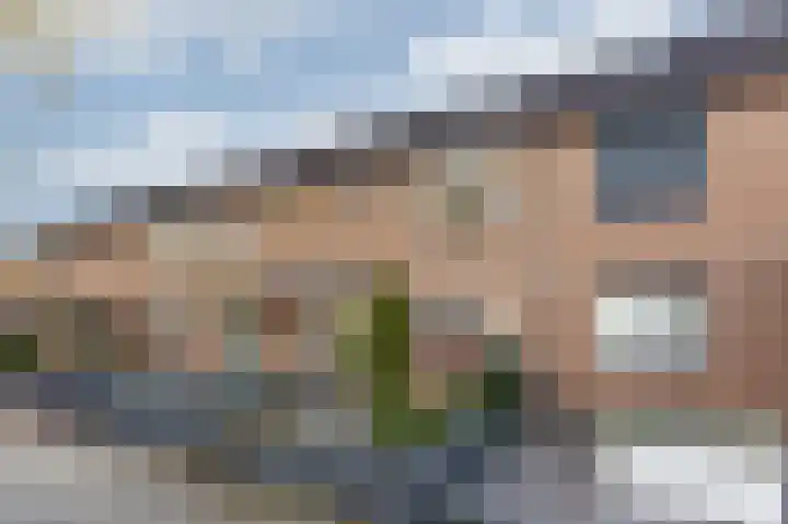 Golden Delicious 9 Duiven thumbnail 6