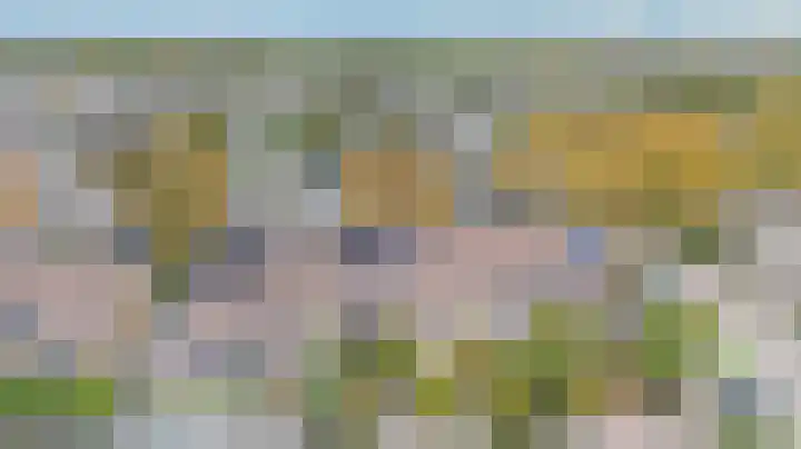 Golden Delicious 9 Duiven thumbnail 60