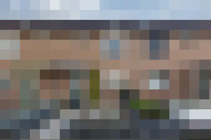 Golden Delicious 9 Duiven thumbnail 7