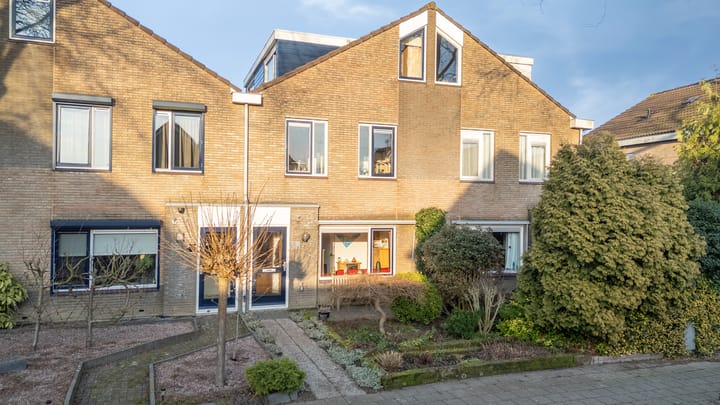 Golden Delicious 95 in Duiven