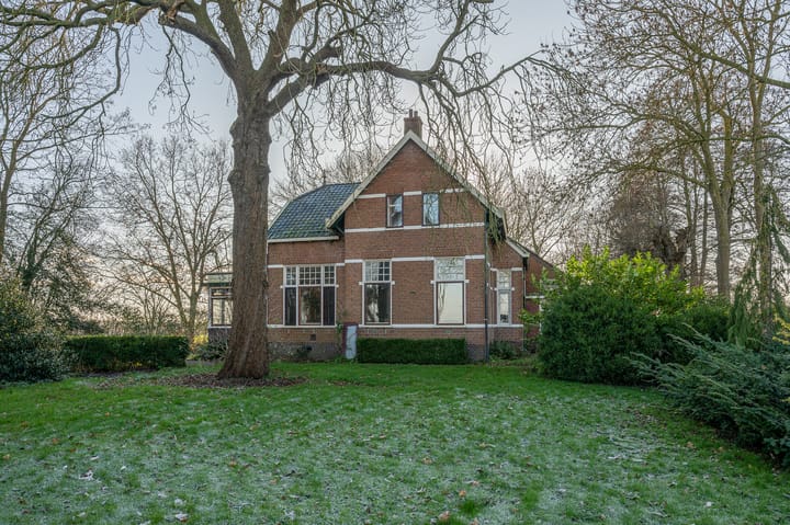 Goldhoorn 25 in Finsterwolde foto