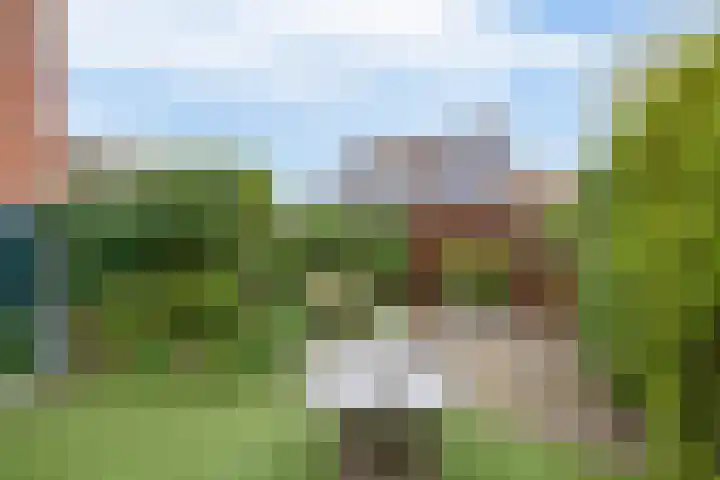 Golf van Riga 62 Veendam thumbnail 24