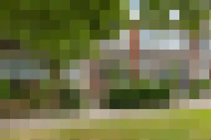 Golf van Riga 62 Veendam thumbnail 25