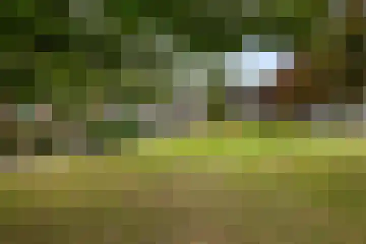 Golf van Riga 62 Veendam thumbnail 27