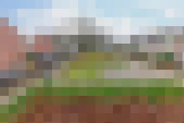 Golf van Riga 67 Veendam thumbnail 43