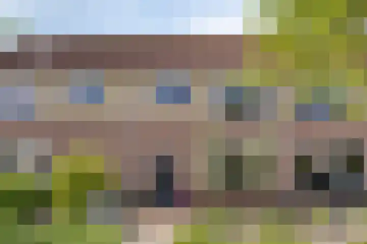 Golfoploop 8 Urk