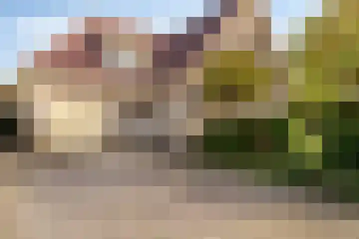 Golfpark 37 Lelystad thumbnail 4