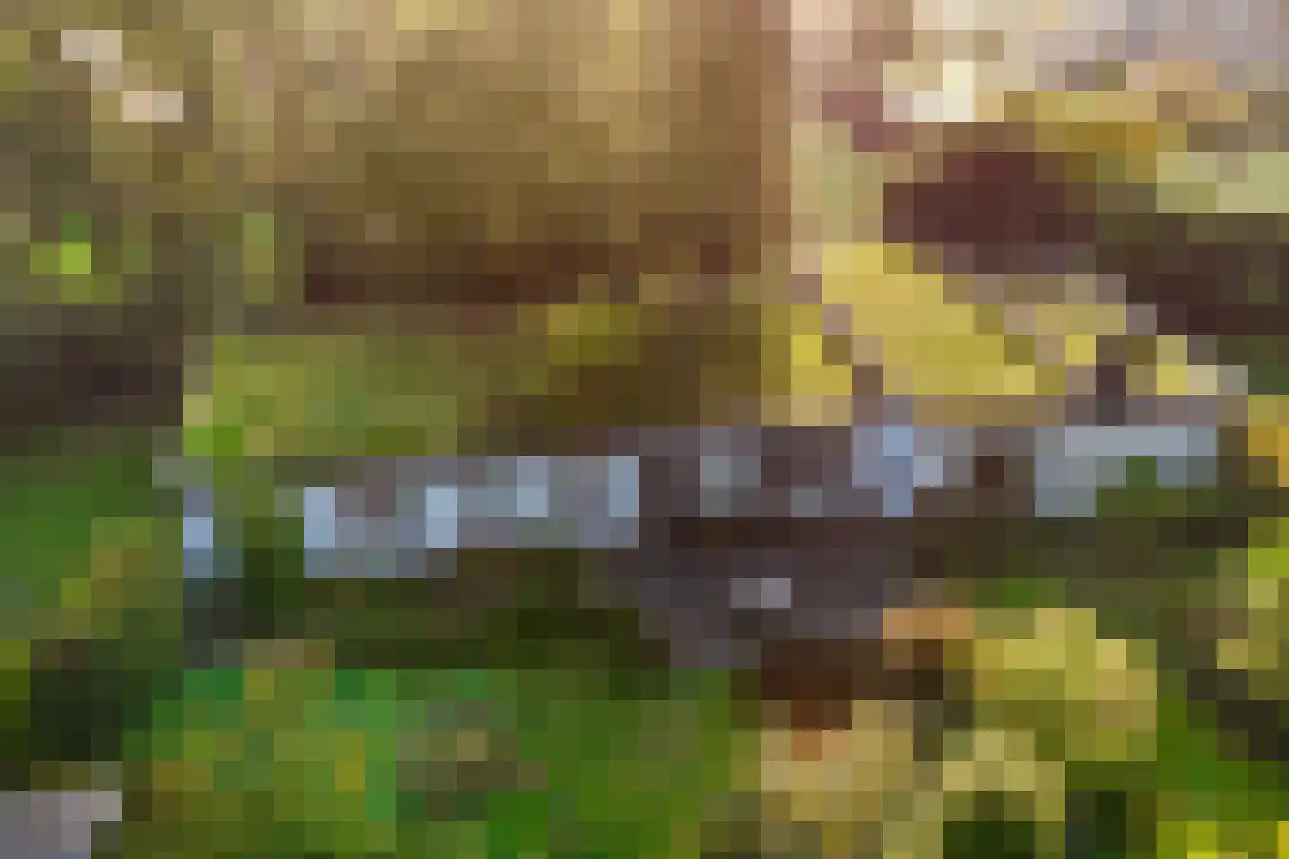 Golfpark 37 Lelystad thumbnail 6