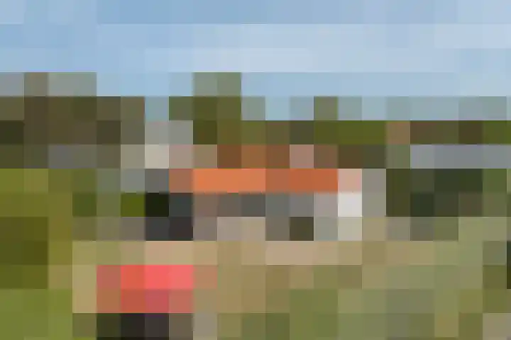 Golfslag 8 in Zoutelande