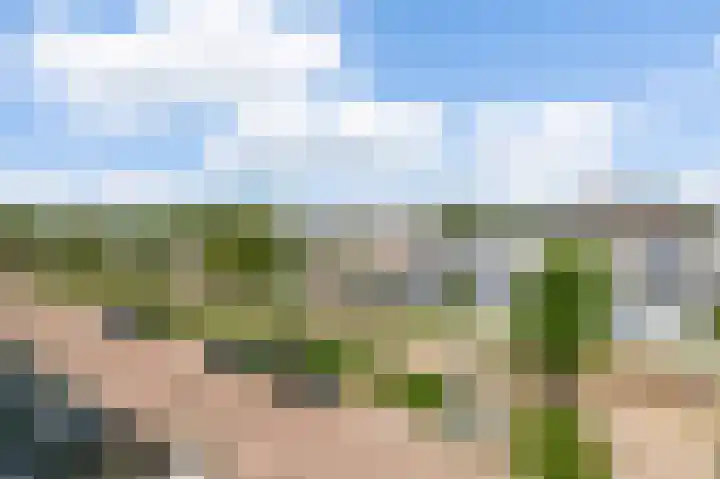 Golfstroom 62 Huizen thumbnail 8