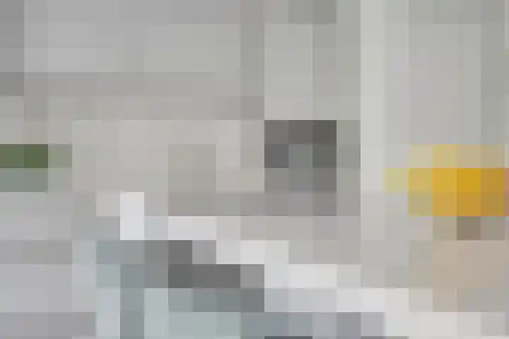 Gomarusstraat 14 Groningen thumbnail 15