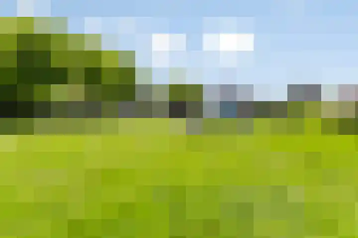 Gomarusstraat 14 Groningen thumbnail 35