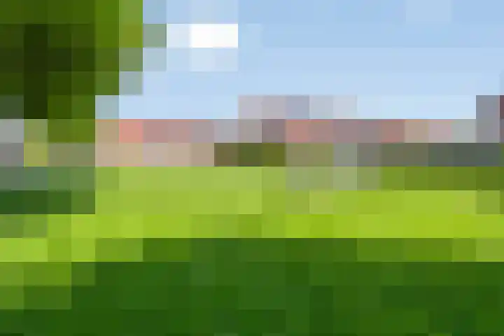 Gomarusstraat 14 Groningen thumbnail 36