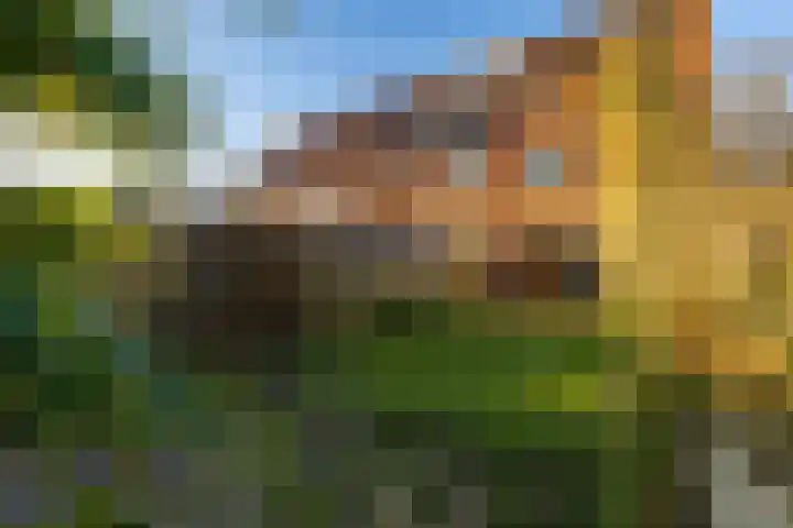 Gomarusstraat 15 Groningen thumbnail 30