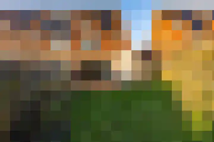 Gomarusstraat 15 Groningen thumbnail 5