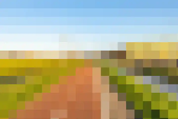 Gomarusstraat 15 Groningen thumbnail 7