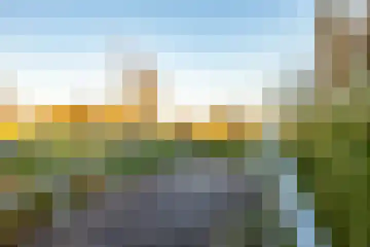 Gomarusstraat 15 Groningen thumbnail 8