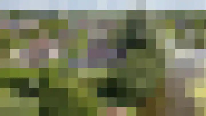 Gomarusstraat 2 Groningen