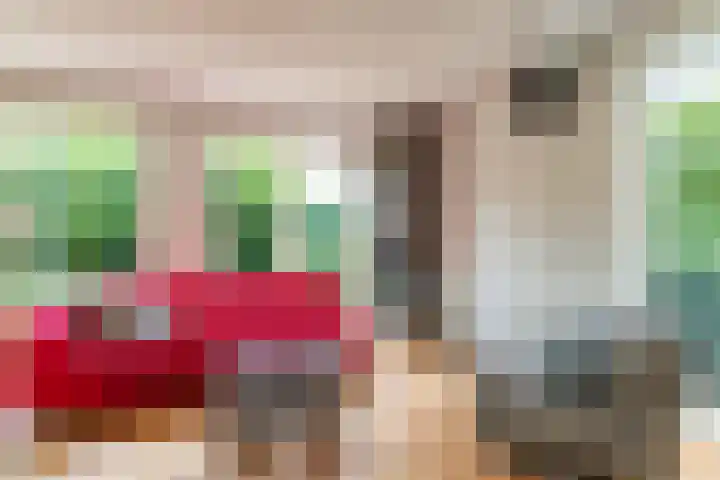 Gomarusstraat 5 Groningen thumbnail 26