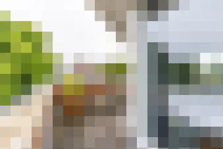 Gomarusstraat 5 Groningen thumbnail 57