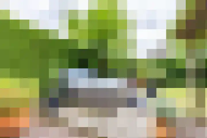 Gomarusstraat 5 Groningen thumbnail 64