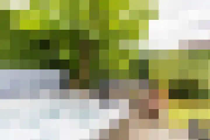Gomarusstraat 5 Groningen thumbnail 65