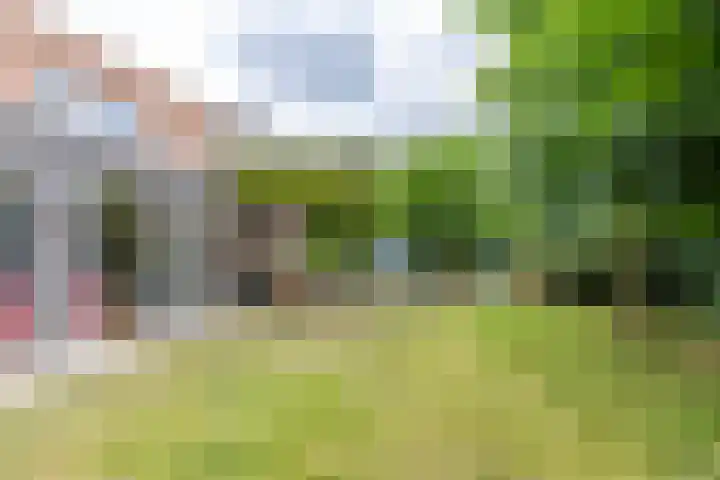 Gomarusstraat 5 Groningen thumbnail 71