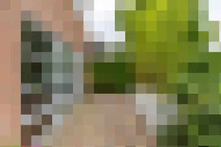 Gomarusstraat 5 Groningen thumbnail 72