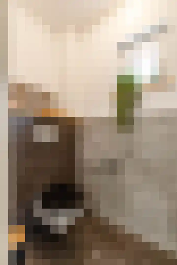 Gomarusstraat 5 Groningen thumbnail 9
