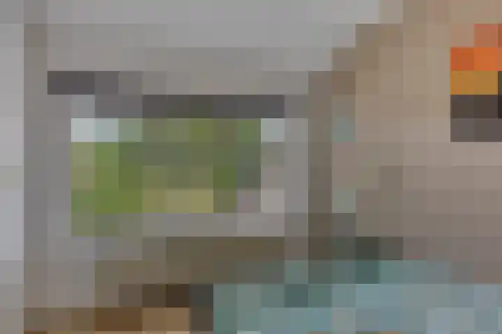 Gondalaan 50 Goor thumbnail 24
