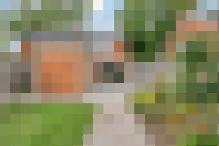 Gondalaan 50 Goor thumbnail 27