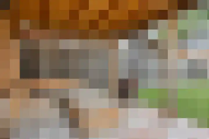 Gondalaan 50 Goor thumbnail 31