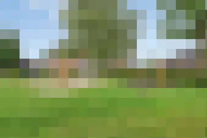 Gondalaan 50 Goor thumbnail 33
